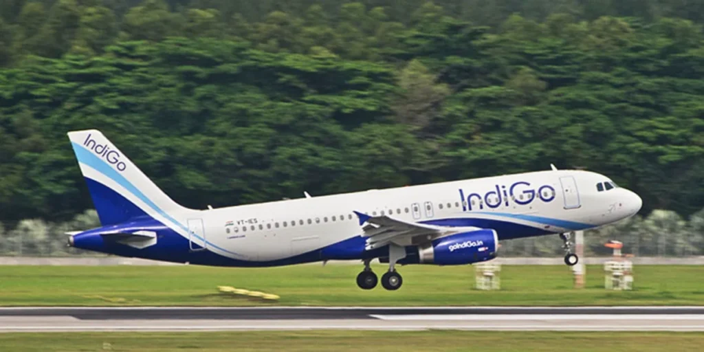 indiGo1 1250x625.png